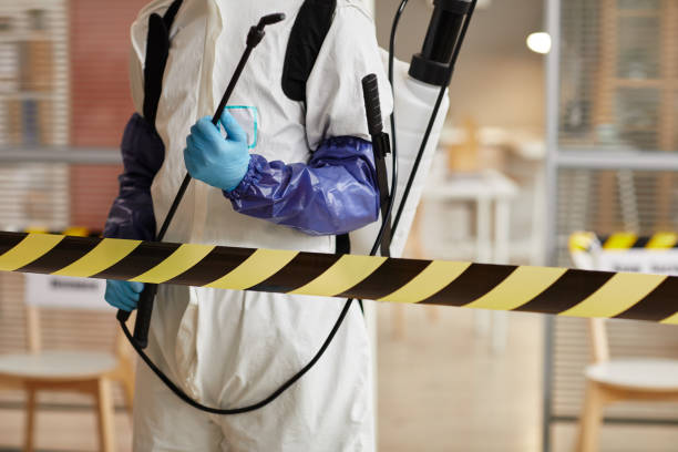 Professional Trauma Scene Cleanup technician working in Angelus Oaks, CA
